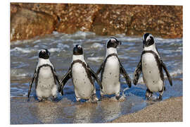 Foam board print four cool waddling penguins