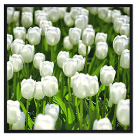 Gerahmter Kunstdruck Tulpenwiese