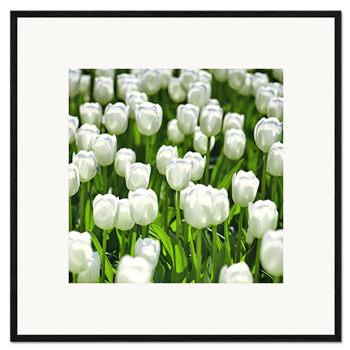 Framed art print Meadow of tulips