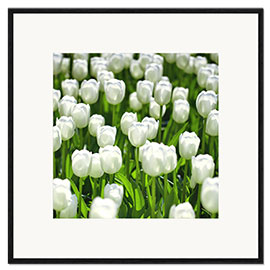 Framed art print Meadow of tulips