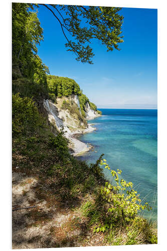 Quadro em PVC Chalk cliff on the island Ruegen in Germany III