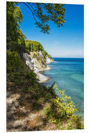 Foam board print Chalk cliff on the island Ruegen in Germany III