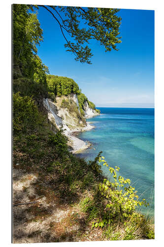 Gallery print Chalk cliff on the island Ruegen in Germany III