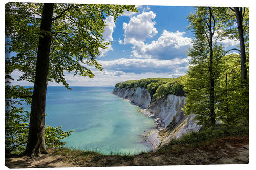 Obraz na płótnie Chalk cliff on the island Ruegen, Germany I