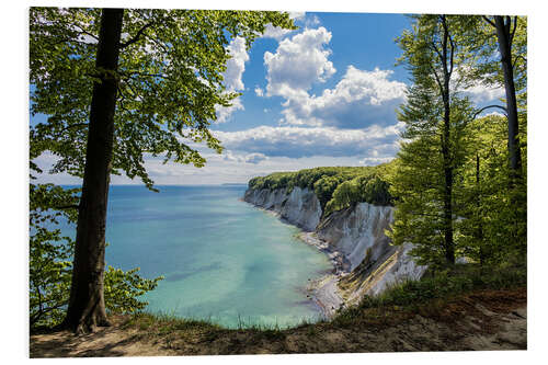 PVC print Chalk cliff on the island Ruegen, Germany I