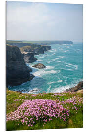 Aluminium print Pink flowers