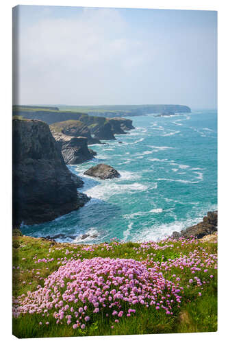 Canvas print Pink flowers