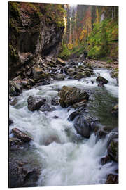 Aluminium print Breitachklamm