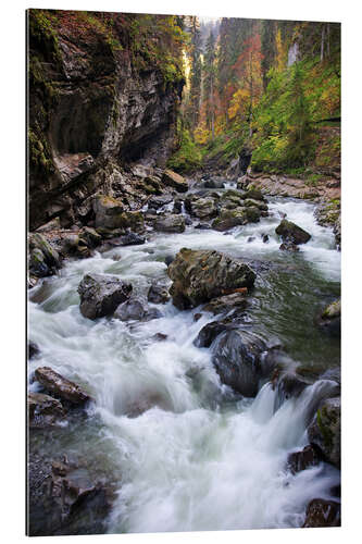 Galleriprint Breitachklamm