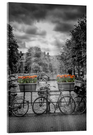 Acrylglasbild  Typisch Amsterdam II - Melanie Viola