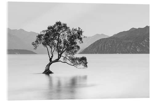 Acrylic print Lone Tree / black & white