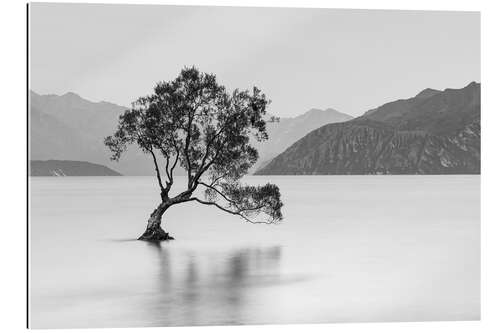 Gallery print Lone Tree / black & white