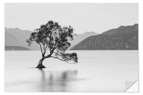 Vinilo para la pared Lone Tree / black & white