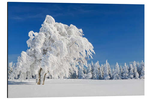 Aluminium print Black Forest Winter Landscape