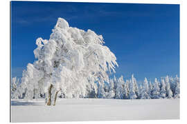 Gallery print Black Forest Winter Landscape