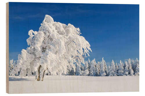 Wood print Black Forest Winter Landscape