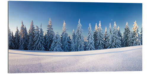 Gallery print Black Forest Winter Landscape