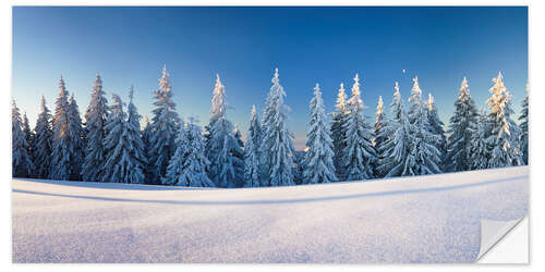 Vinilo para la pared Black Forest Winter Landscape