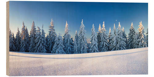 Holzbild Schwarzwald Winterlandschaft