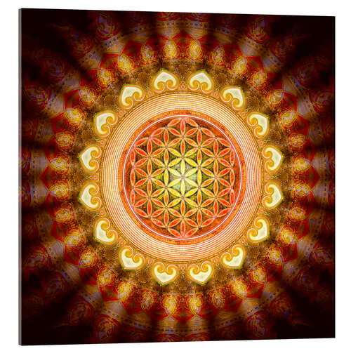 Acrylic print Flower of life - Sun