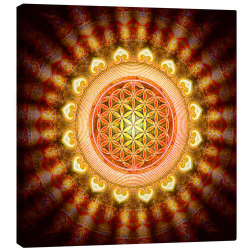 Canvas print Flower of life - Sun