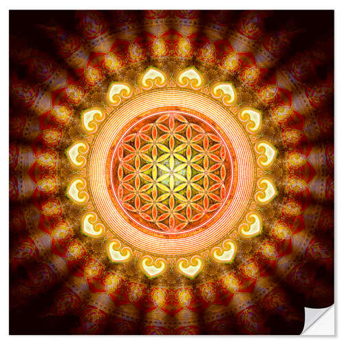 Självhäftande poster Flower of life - Sun