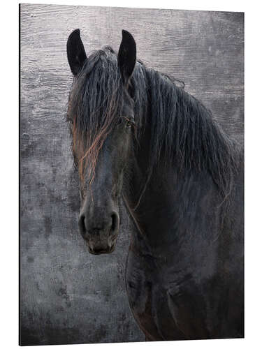 Aluminium print Horse with no name