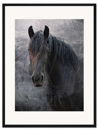 Gerahmter Kunstdruck Friesen-Pferd