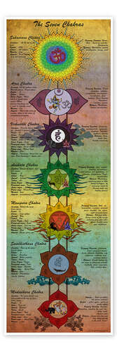 Poster The Seven Chakras