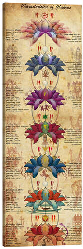 Leinwandbild Characterstics of Chakras (Englisch)