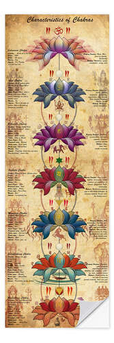 Naklejka na ścianę Characterstics of Chakras
