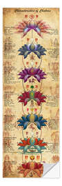 Naklejka na ścianę Characterstics of Chakras