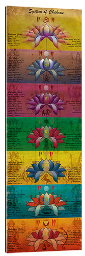 Galleriprint System of Chakras Contrastive View