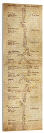 Galleriprint Surya Namaskar (solhilsen) - engelsk