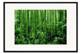 Gerahmter Kunstdruck Bambuswald