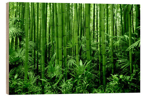 Wood print bamboo forest