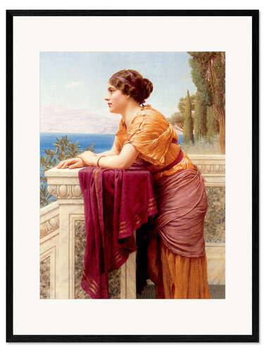 Framed art print The Belvedere