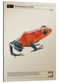 Tableau en aluminium Grenouille polygonale (anglais)