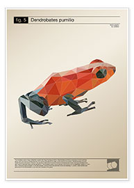 Wall print fig5 Polygonfrosch Poster - Labelizer
