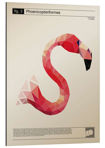 Tableau en aluminium Flamant rose polygonal (anglais)