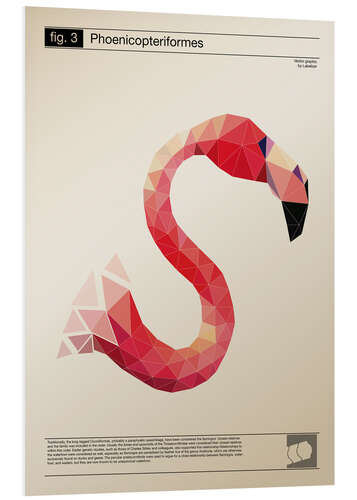 Foam board print fig3 Polygonflamingo Poster