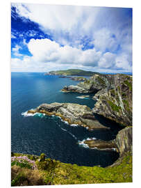 Foam board print Irelands Shoreline