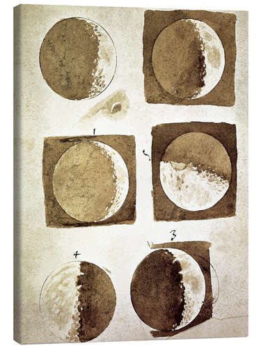 Canvas print The phases of the moon