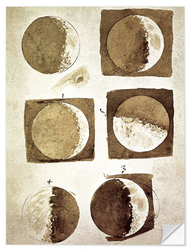 Vinilo para la pared The phases of the moon