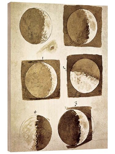 Print på træ The phases of the moon