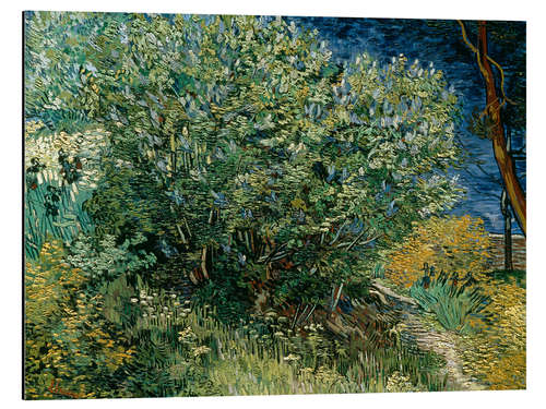 Aluminium print Lilac Bush, 1889