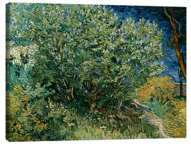 Lærredsbillede Lilac Bush, 1889