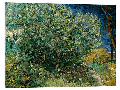 Foam board print Lilac Bush, 1889