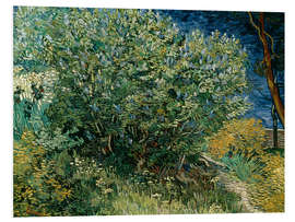 Foam board print Lilac Bush, 1889