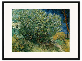 Gerahmter Kunstdruck Fliederbusch, 1889